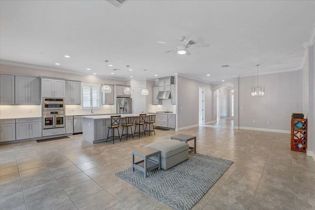 20113 UMBRIA HILL DRIVE, Tampa, FL 33647