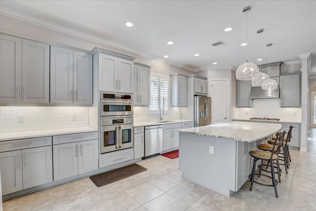 20113 UMBRIA HILL DRIVE, Tampa, FL 33647