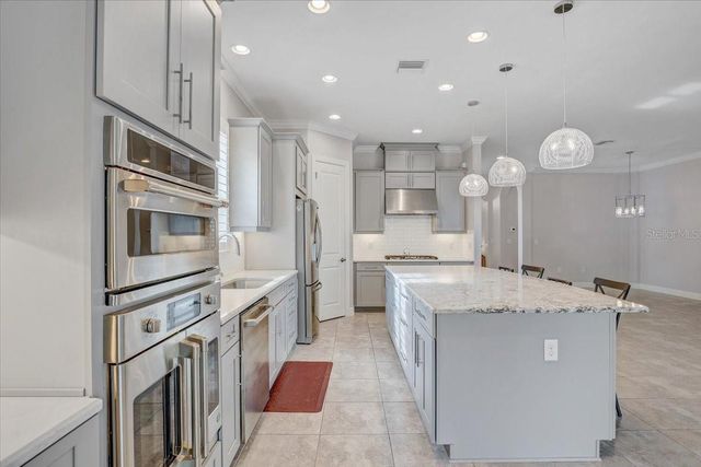 20113 UMBRIA HILL DRIVE, Tampa, FL 33647