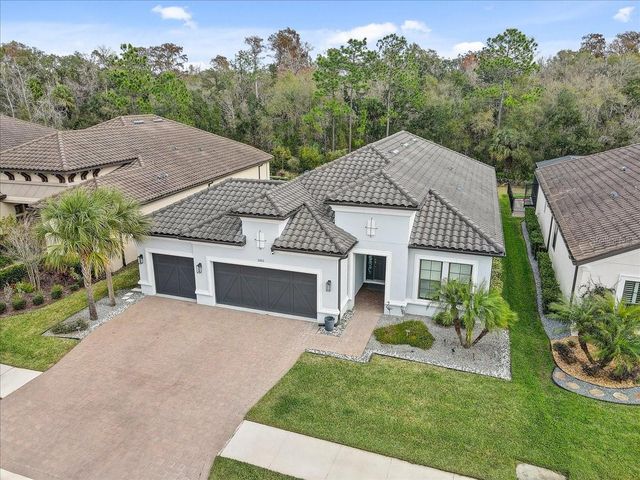 20113 UMBRIA HILL DRIVE, Tampa, FL 33647