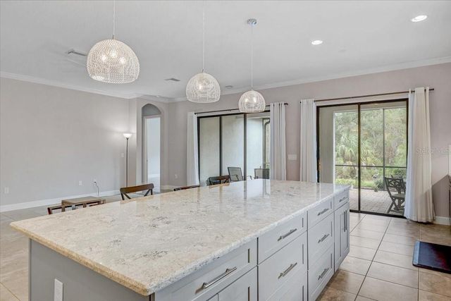 20113 UMBRIA HILL DRIVE, Tampa, FL 33647