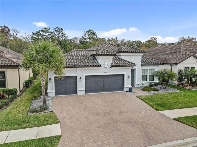 20113 UMBRIA HILL DRIVE, Tampa, FL 33647