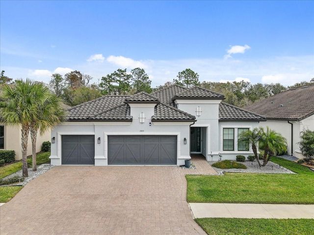 20113 UMBRIA HILL DRIVE, Tampa, FL 33647