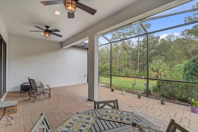 20113 UMBRIA HILL DRIVE, Tampa, FL 33647