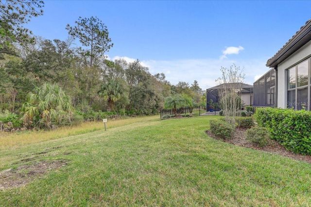 20113 UMBRIA HILL DRIVE, Tampa, FL 33647