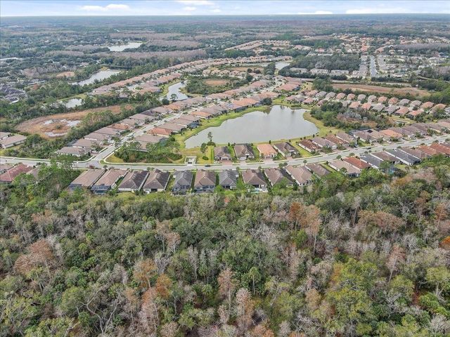 20113 UMBRIA HILL DRIVE, Tampa, FL 33647