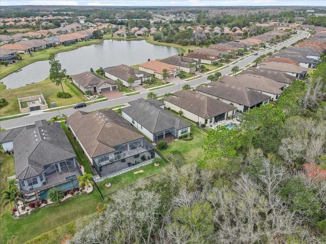 20113 UMBRIA HILL DRIVE, Tampa, FL 33647