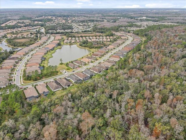 20113 UMBRIA HILL DRIVE, Tampa, FL 33647