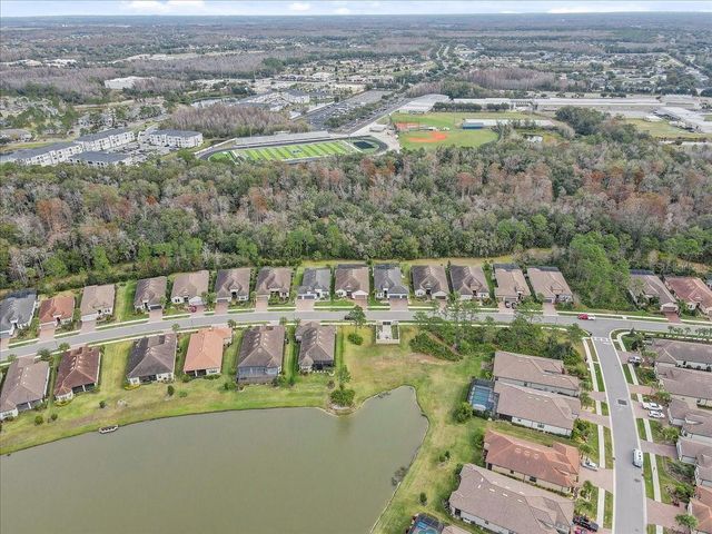 20113 UMBRIA HILL DRIVE, Tampa, FL 33647