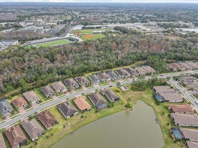 20113 UMBRIA HILL DRIVE, Tampa, FL 33647