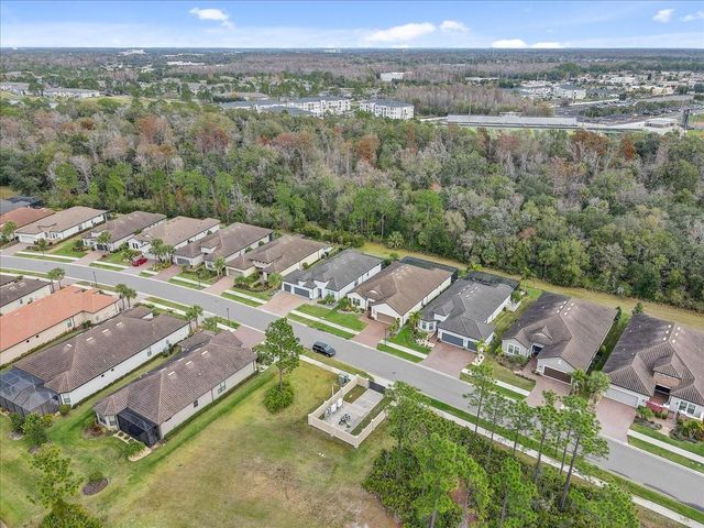 20113 UMBRIA HILL DRIVE, Tampa, FL 33647