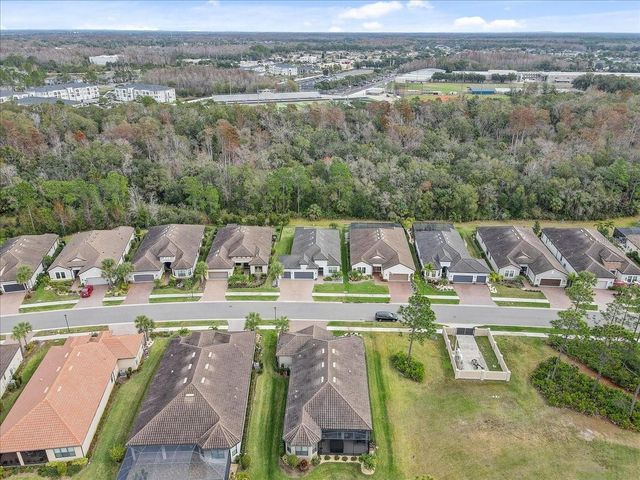 20113 UMBRIA HILL DRIVE, Tampa, FL 33647
