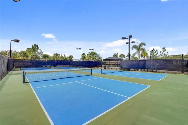 20113 UMBRIA HILL DRIVE, Tampa, FL 33647