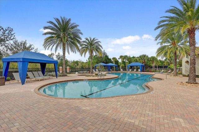 20113 UMBRIA HILL DRIVE, Tampa, FL 33647