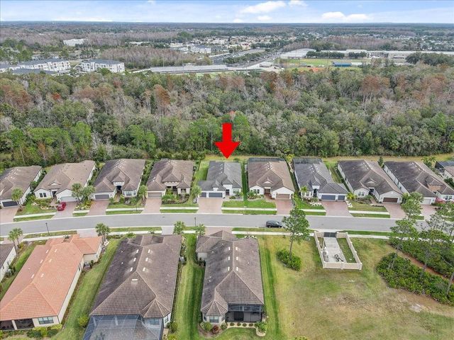 20113 UMBRIA HILL DRIVE, Tampa, FL 33647