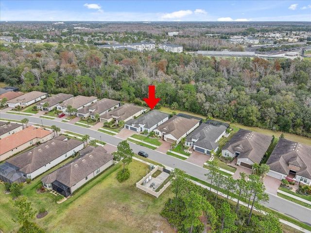 20113 UMBRIA HILL DRIVE, Tampa, FL 33647