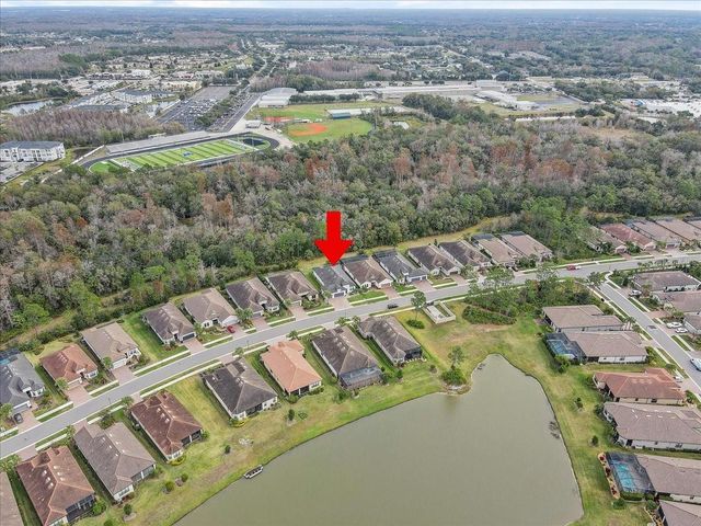 20113 UMBRIA HILL DRIVE, Tampa, FL 33647