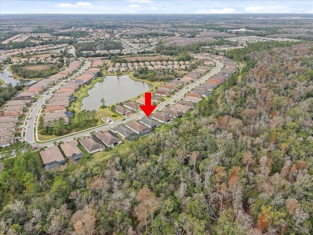 20113 UMBRIA HILL DRIVE, Tampa, FL 33647