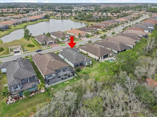 20113 UMBRIA HILL DRIVE, Tampa, FL 33647