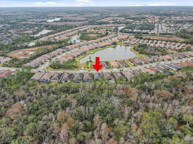 20113 UMBRIA HILL DRIVE, Tampa, FL 33647