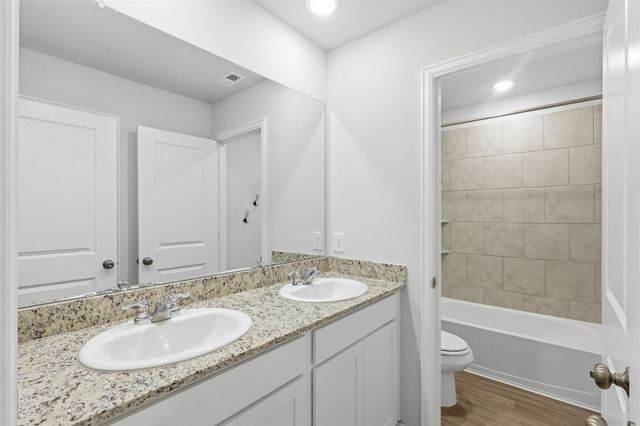 29 Valiant Ridge Trail, Magnolia, TX 77354