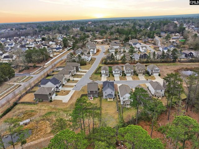 510 Red Taffy Way, Lexington, SC 29073