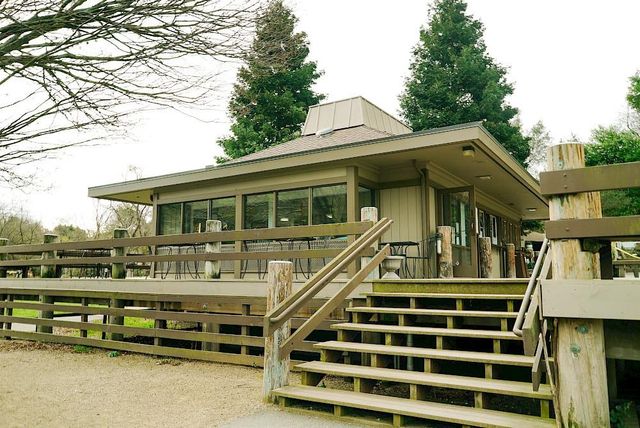 4515 Ewing Rd, Castro Valley, CA 94546