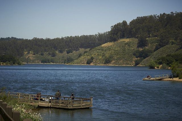 4515 Ewing Rd, Castro Valley, CA 94546