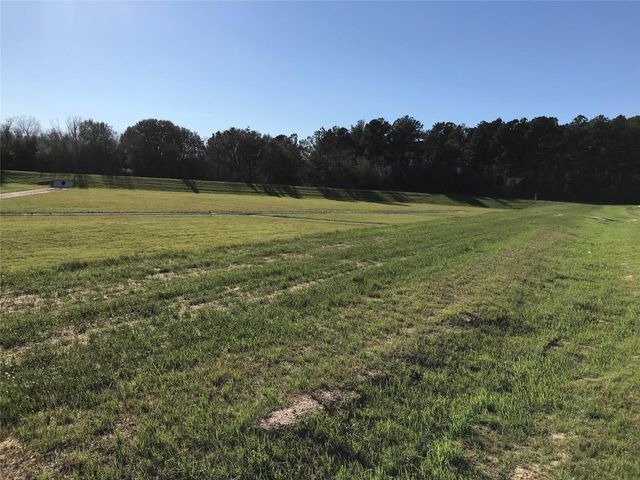 21618 Lemon Beebrush Lane, Katy, TX 77449