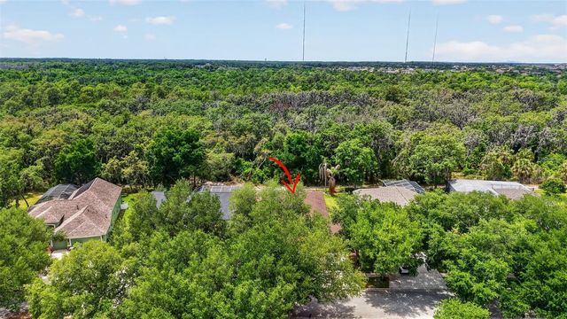 14818 HERONGLEN DRIVE, Lithia, FL 33547