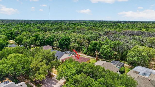 14818 HERONGLEN DRIVE, Lithia, FL 33547