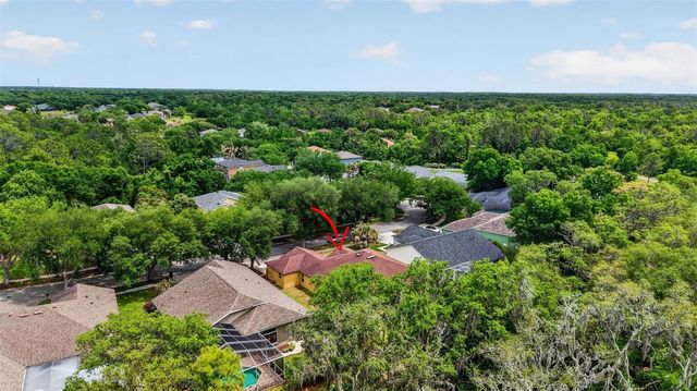 14818 HERONGLEN DRIVE, Lithia, FL 33547