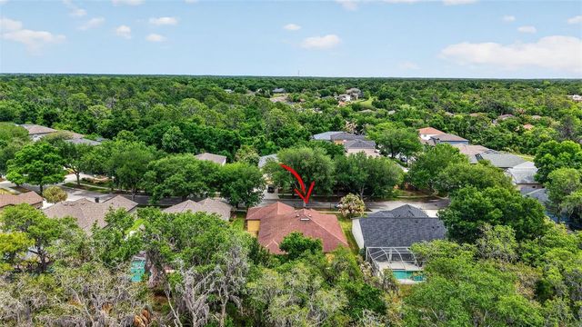 14818 HERONGLEN DRIVE, Lithia, FL 33547