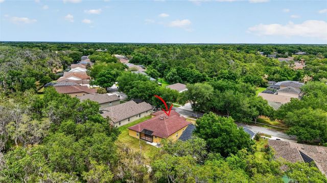 14818 HERONGLEN DRIVE, Lithia, FL 33547