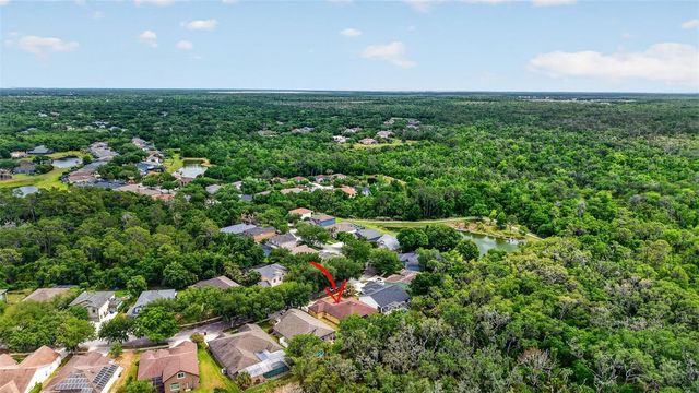 14818 HERONGLEN DRIVE, Lithia, FL 33547