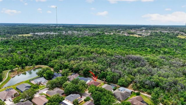 14818 HERONGLEN DRIVE, Lithia, FL 33547