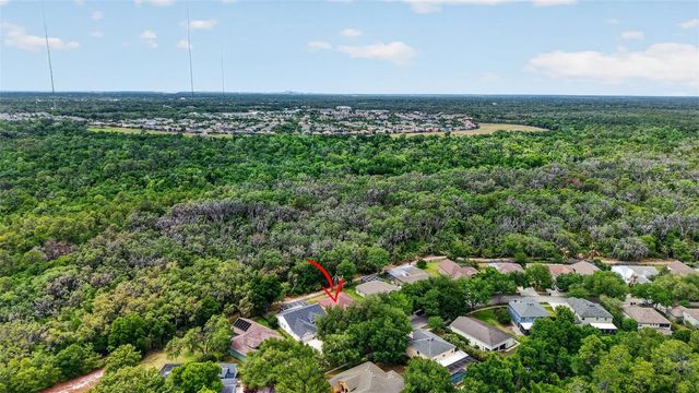 14818 HERONGLEN DRIVE, Lithia, FL 33547