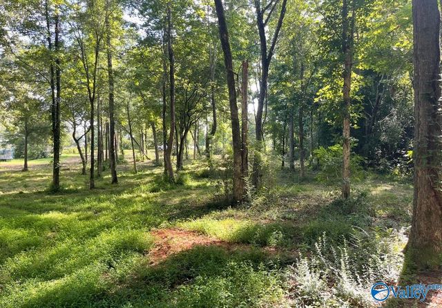 2 acres Georgia Mountain Road, Guntersville, AL 35976