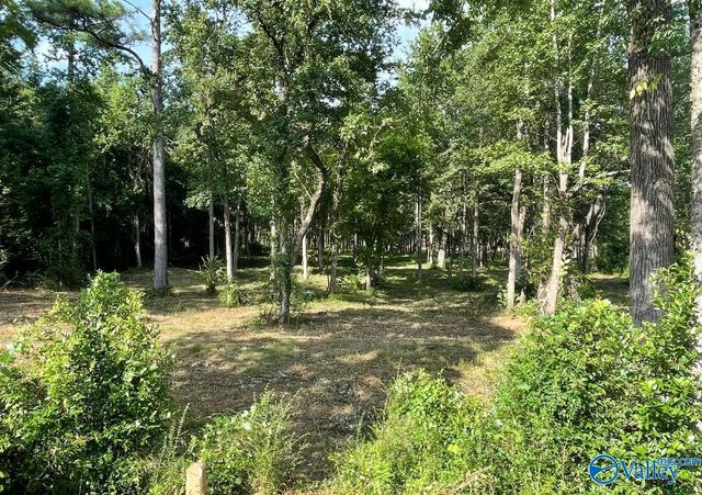 2 acres Georgia Mountain Road, Guntersville, AL 35976