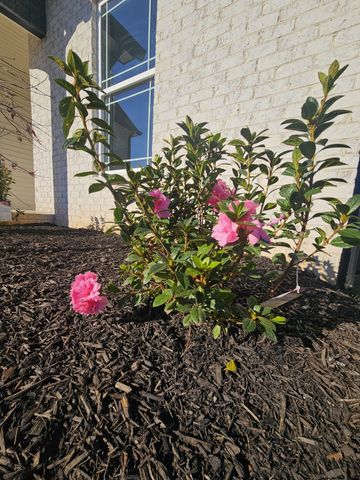 625 Bumblebee Way, Clarksville, TN 37042