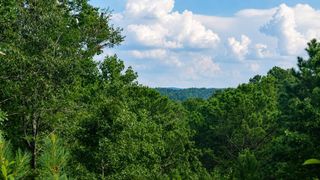 LT160 Shallow Water Trail, Talking Rock, GA 30175