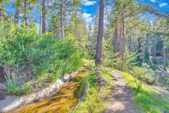 22693 Tamarack DR, Twain Harte, CA 95383