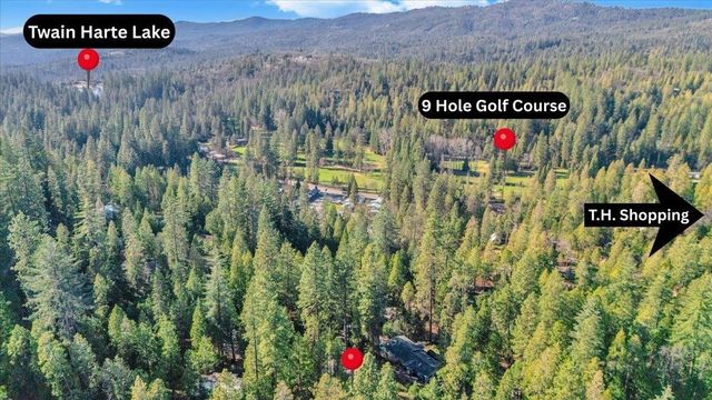 22693 Tamarack DR, Twain Harte, CA 95383