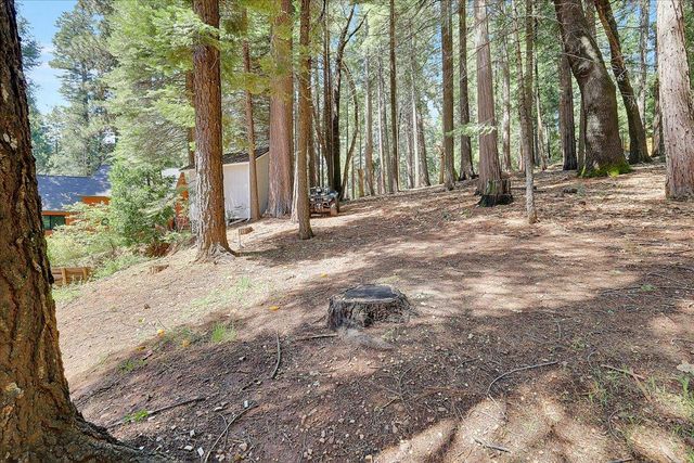 6471 Mica Ct, Pollock Pines, CA 95726