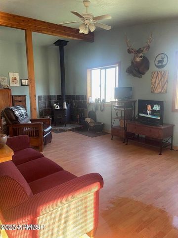 41451 HWY 180 --, Nutrioso, AZ 85932