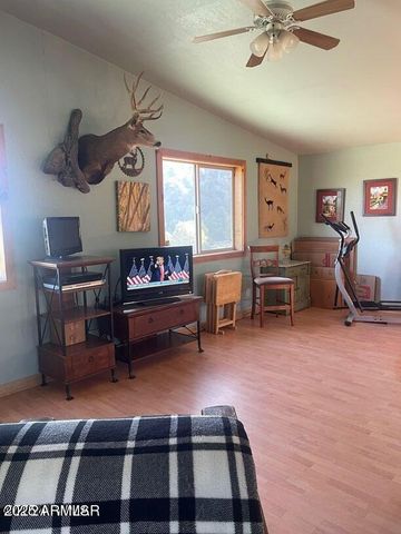 41451 HWY 180 --, Nutrioso, AZ 85932