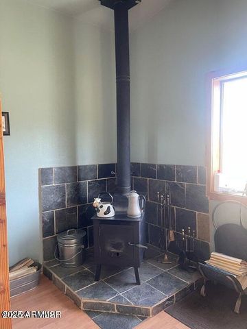 41451 HWY 180 --, Nutrioso, AZ 85932