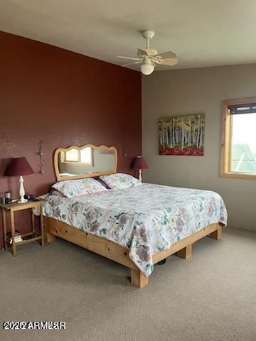 41451 HWY 180 --, Nutrioso, AZ 85932