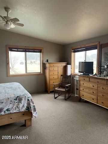 41451 HWY 180 --, Nutrioso, AZ 85932