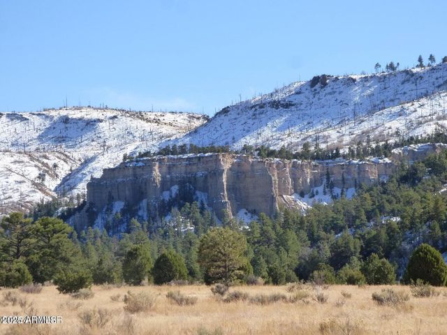 41451 HWY 180 --, Nutrioso, AZ 85932